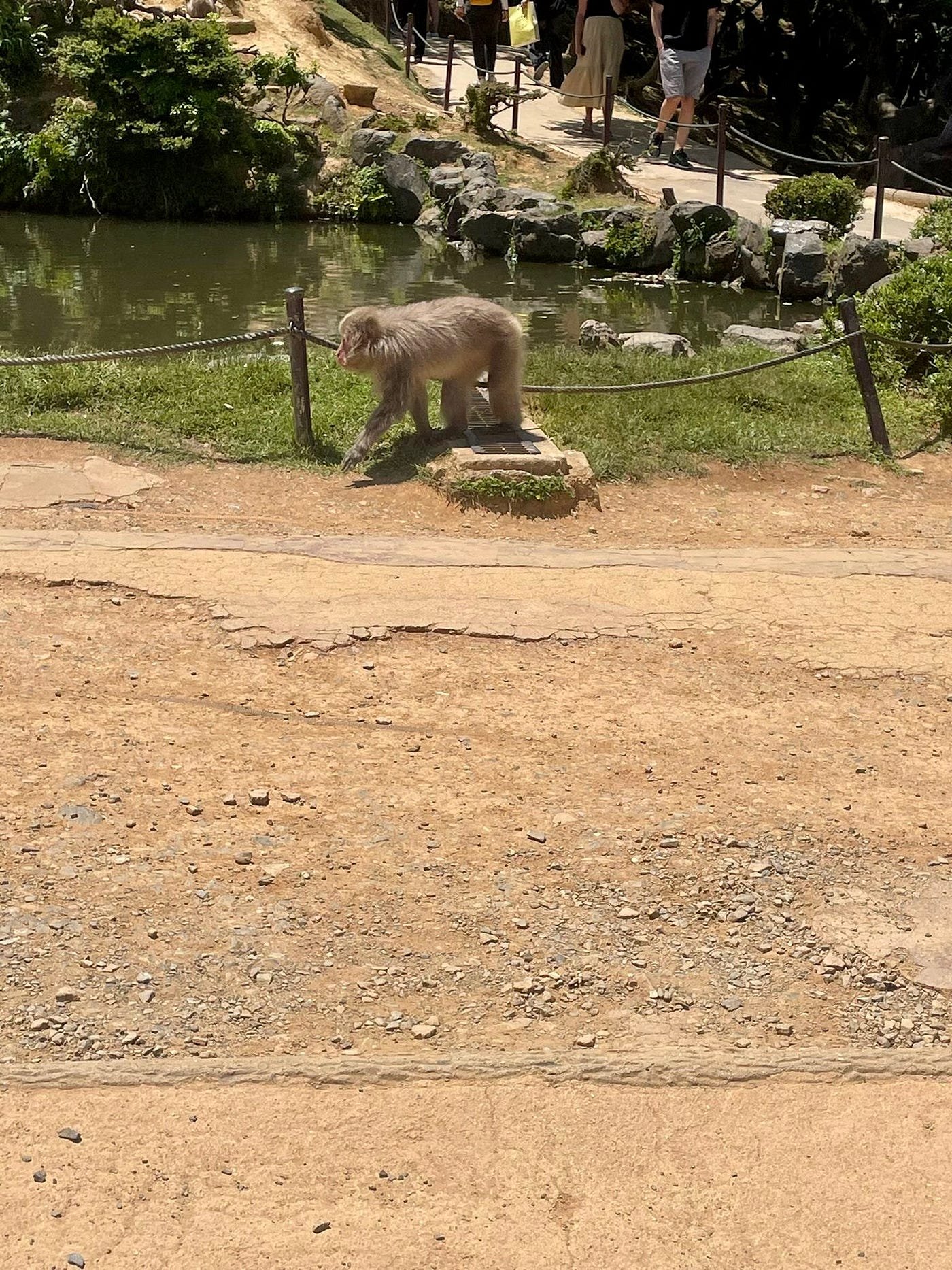 🏞️ 스리카미가와 댐 이미지 6